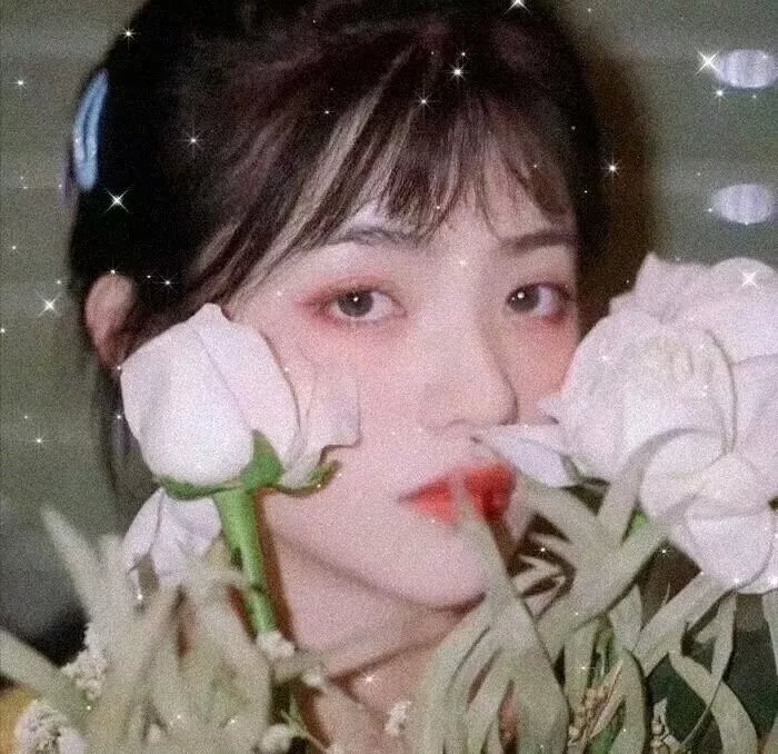 荒野之心